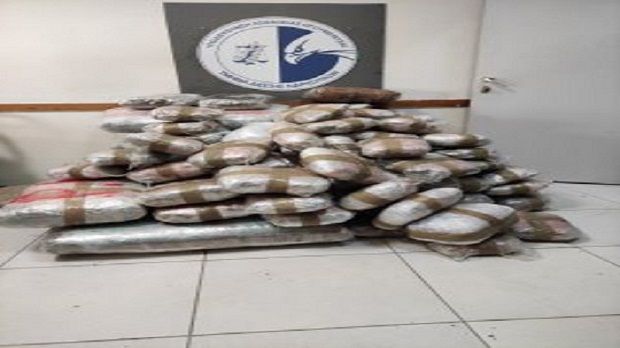 Greqi/ Sekuestrohen 167.5 kg kanabis në parcelën me mandarina, arrestohet shqiptari