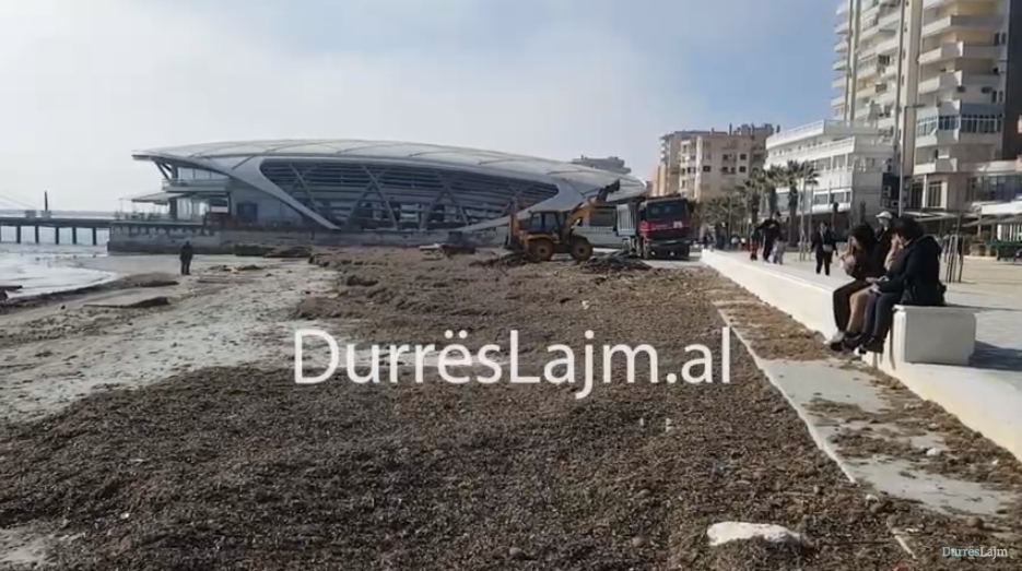 Nis largimi i tonelatave të leshterikëve nga shëtitorja “Taulantia” (VIDEO)