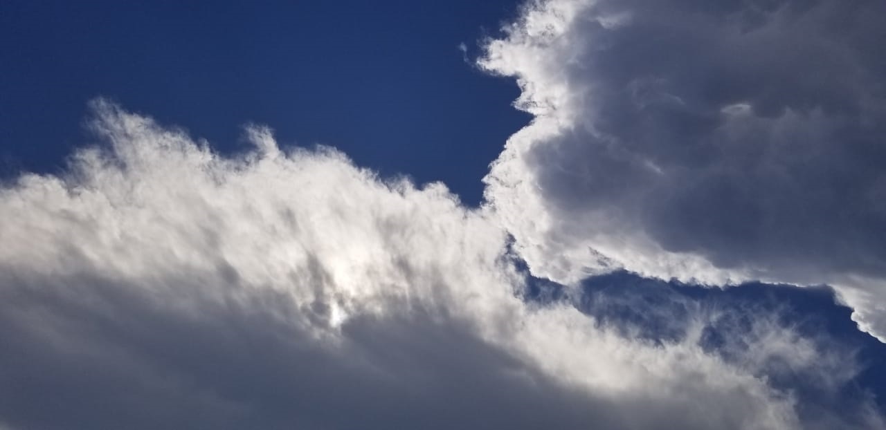 Parashikimi i motit, 20 shkurt 2021