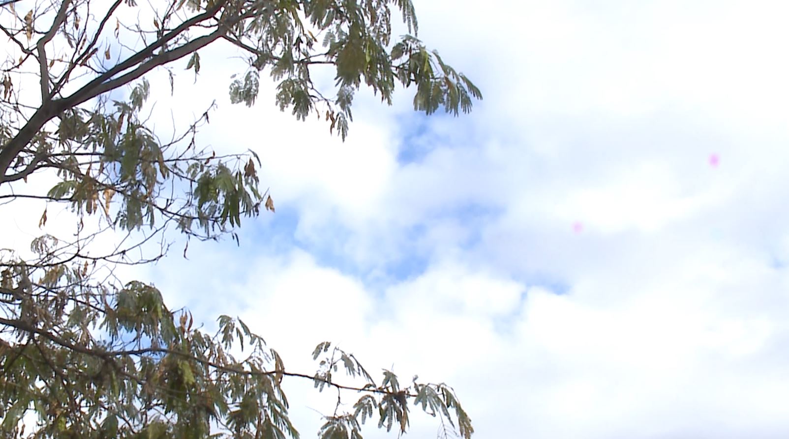 Parashikimi i motit, 16 shkurt 2021