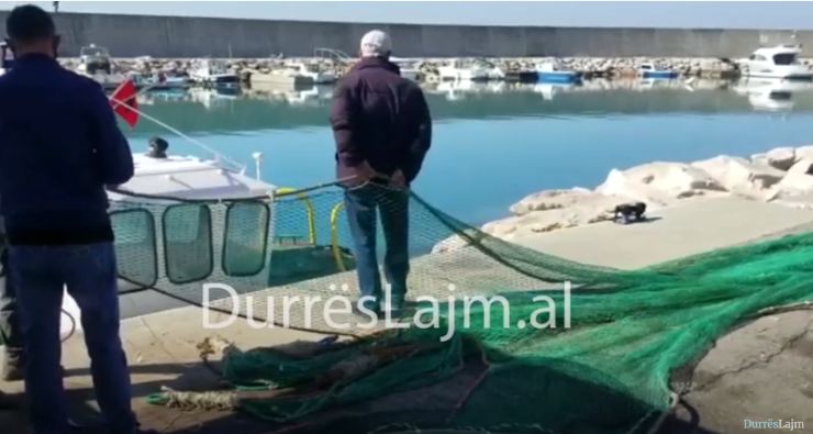 Durrës/ Nga dalja në det te magazinimi, prezantohet procesi i peshkimit (VIDEO)