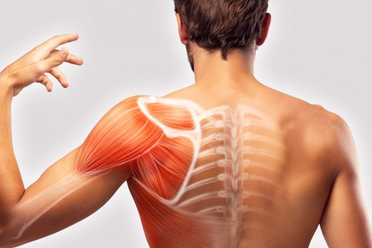 Shpatulla e ngrirë, ushqimet dhe trajtimet për largimin e dhimbjeve