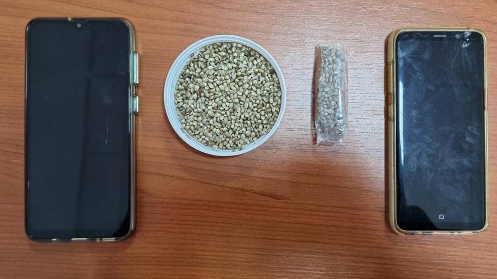 U kapën duke shkëmbyer fara kanabisi, arrestohen dy të rinj