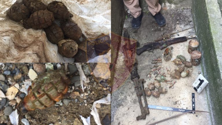 Poseduesi i tyre në burg, policia zbulon arsenalin e armëve të groposura pranë banesës së tij