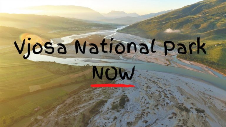 Letra për Vjosën, Meta përshëndet ekologjistin gjerman: Qeveria ende në detyrë, të tërhiqet urgjentisht nga çdo projekt arbitrar