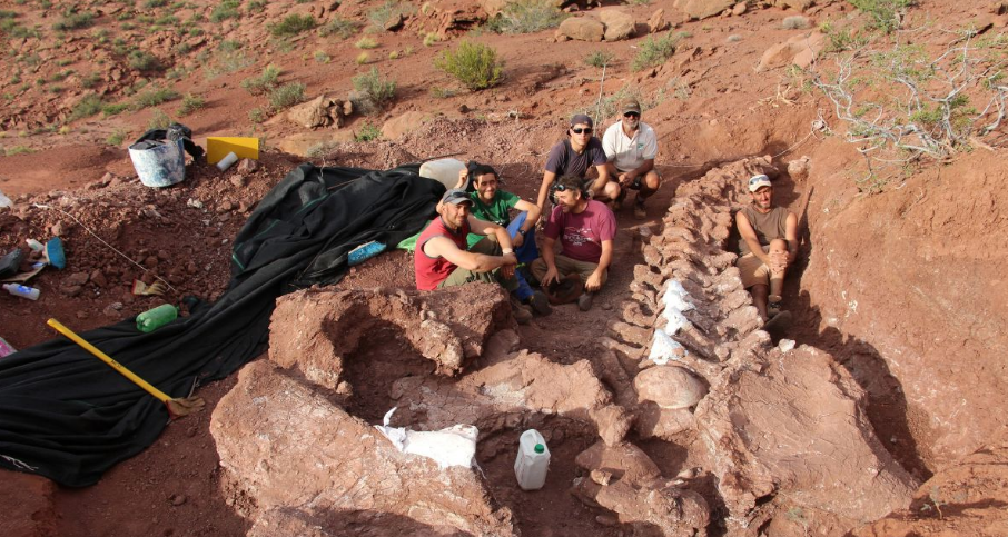 Gjenden fosilet e një dinozauri gjigand, që ka jetuar 140 milionë vjet më parë