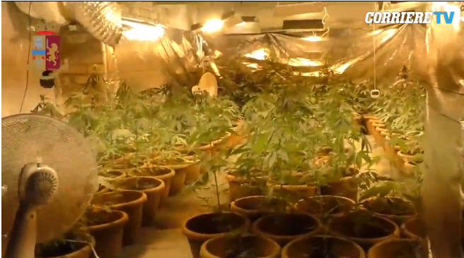 “Shtëpi bari” edhe në Itali, arrestohen 6 shqiptarë (VIDEO)