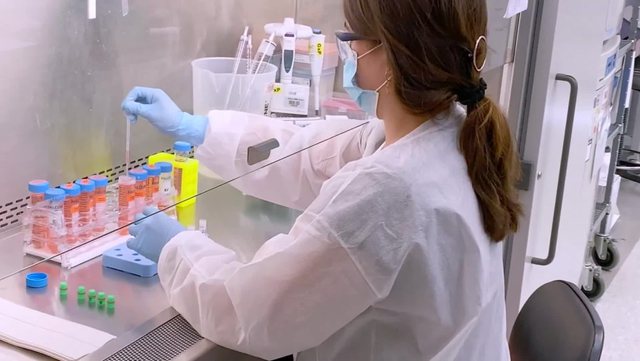 OBSH: Varianti indian i koronavirusit është zbuluar në 17 vende