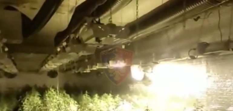 Magazinën e marrë me qira e kthyen në laborator droge, arrestohet 24-vjeçari, në kërkim një tjetër