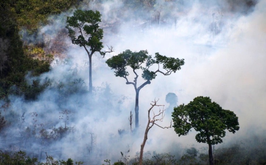 Brazilit i duhen 10 miliardë dollarë në vit për të arritur në emetime zero