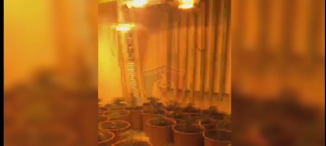 VIDEO/ Kishin kthyer një banesë në laborator droge, 3 në pranga (EMRI)