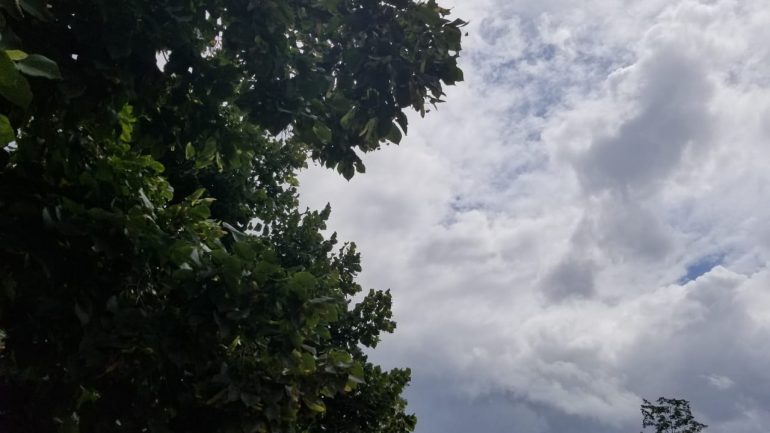 Parashikimi i motit, 12 prill 2021