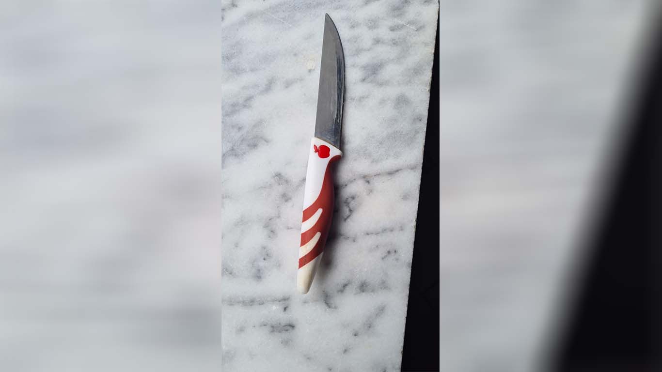 Dhunonte të ëmën, 27-vjeçari goditet me thikë nga vëllai i tij