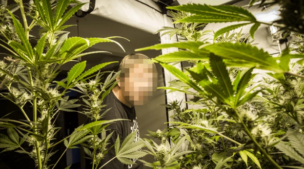 “Shtëpi bari” në Durrës, “Papafingo” prangos 62-vjeçarin, procedohen edhe dy punonjës të OSHEE