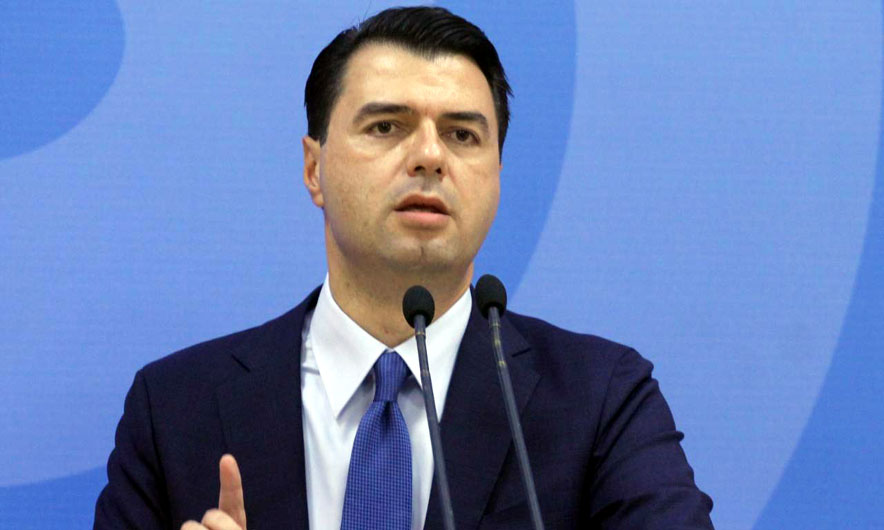 Basha: Jemi të vetmit që kemi fuqinë për ta çuar deri në fund betejën tonë për ndryshim