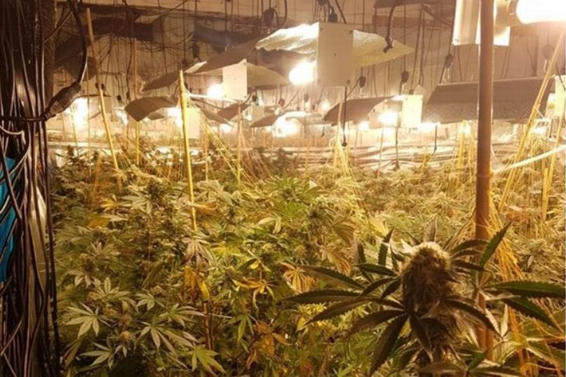 Mbushi papafingon me kanabis, rrëfehet administratori i pallatit në Durrës: E bëja për të shlyer kredinë!