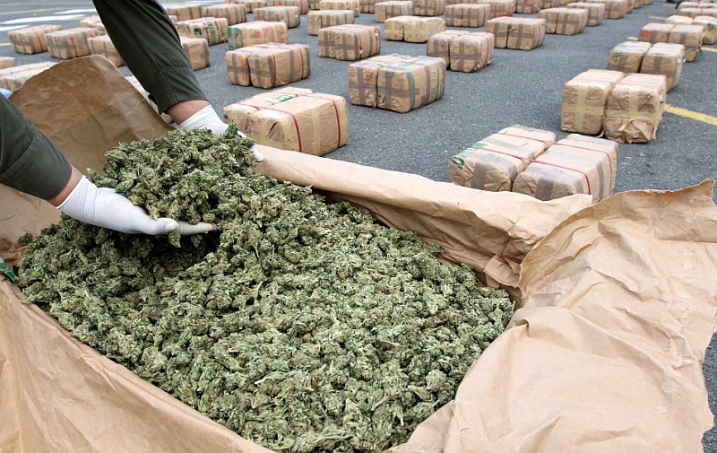 Si funksionon trafiku i kanabisit, kokainës e heroinës në Ballkan, roli i Shqipërisë