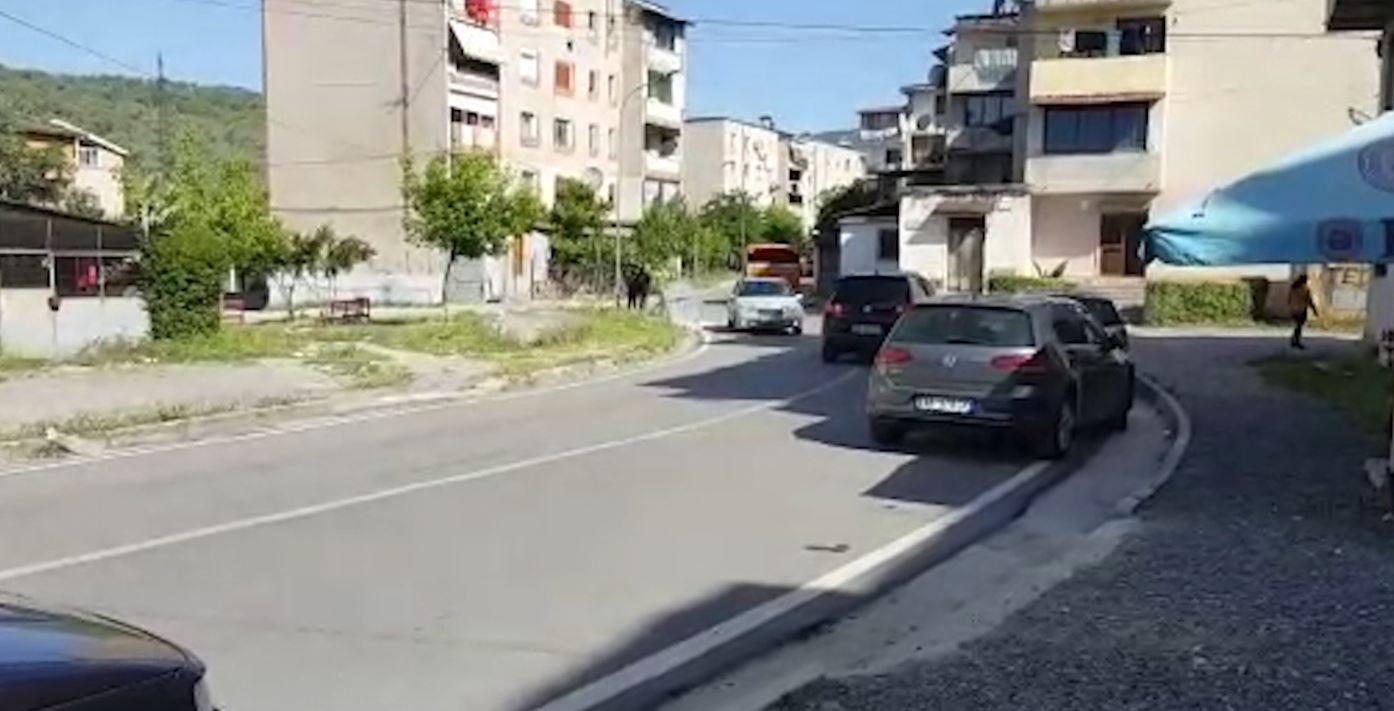 I zbathur dhe i vrarë në mes të rrugës, policia sqaron ngjarjen