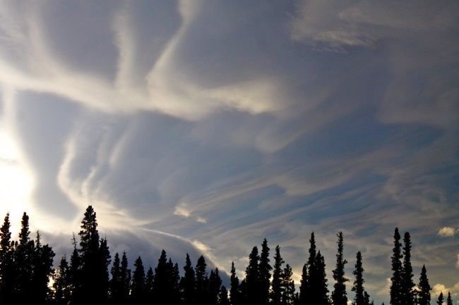 Parashikimi i motit, 3 maj 2021