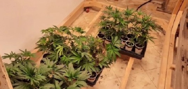 EMRAT/ Kthyen banesën në laborator droge, arrestohen 4 persona (VIDEO)