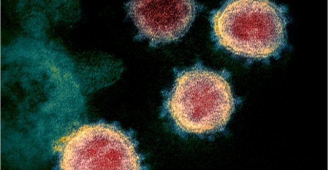 OBSH: Kujdes nga varianti Delta i Covid, këta janë personat më të rrezikuar