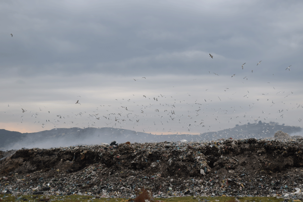 Skenari i plehrave: Si u dhjetëfishuan kostot e menaxhimit të mbetjeve të Durrësit
