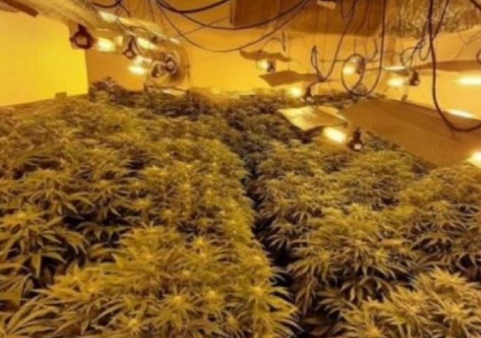 EMRI/ U kap në “shtëpinë e barit”, dënohet 28-vjeçari shqiptar