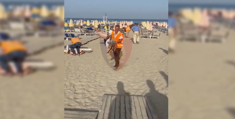 Task-Forca zbarkon në Golem, hiqen 550 shezlongë dhe 280 çadra (VIDEO)