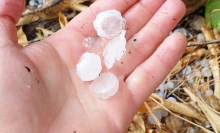 Breshëri në madhësinë e gurëve, dëmtohen qindra ha tokë të mbjellash