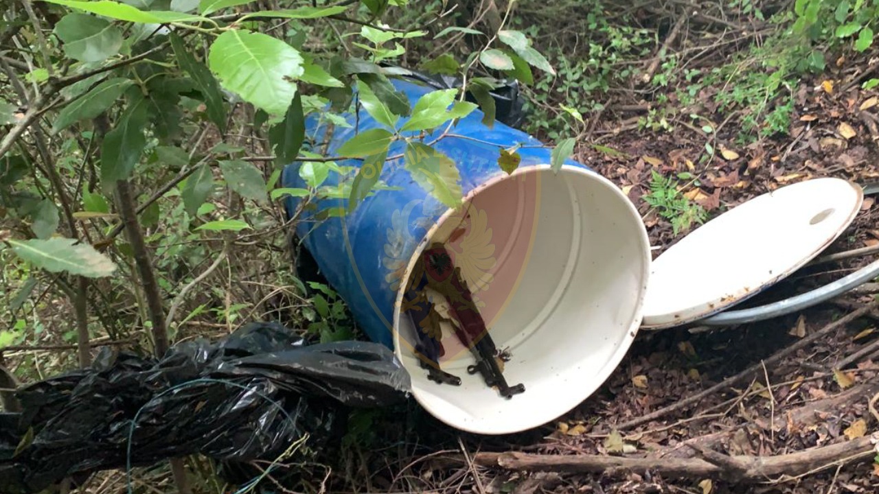 Arrestohet pasi i kapen fidanë kanabisi në oborr, policia gjen dy armë të fshehura në pyll