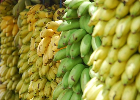 Importi i bananeve dyfishohet në 2020-n, arrin 22.3 milionë USD, vijnë vetëm nga Ekuadori