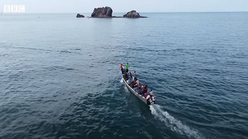 Peshkatarët bëjnë &#8220;bingo&#8221;, gjejnë brenda balenës produktin që vlen miliona (VIDEO)