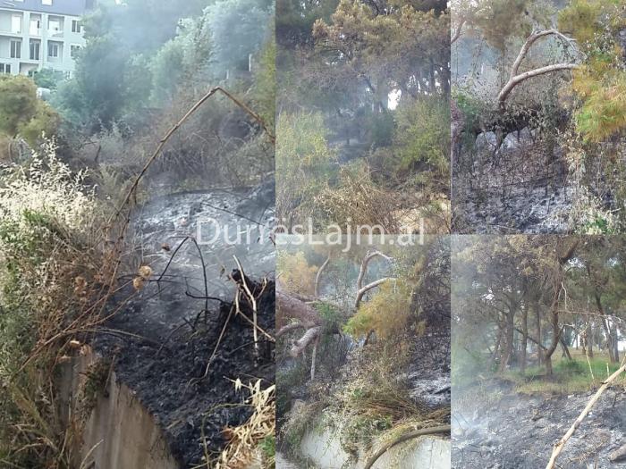 Fiket zjarri në Kodër Vilë (FOTO)