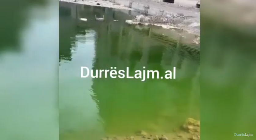 Gropa në mes të lagjes nr.17 rrezikon të kthehet në vatër infeksioni, bretkosat “hedhin valle”! (VIDEO)