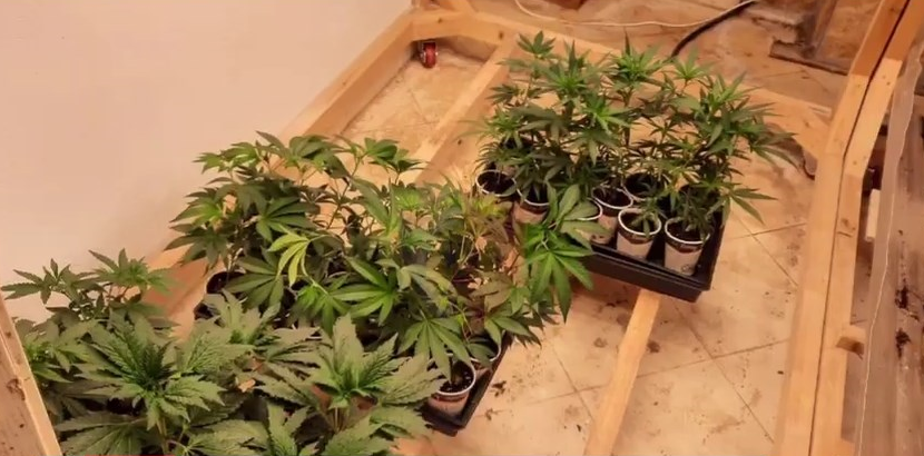 “Shtëpi bari” në Shijak, shpallen në kërkim autorët, arrestohen dy punonjës të OSHEE