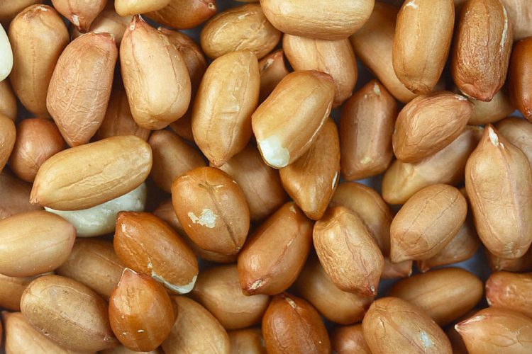 Pse duhet të hani kikirikë çdo ditë në të mirë të zemrës