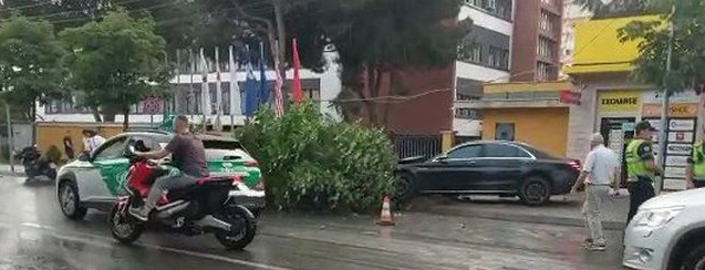 “Benz”-i përplaset me pemën. Plagoset drejtuesja dhe kalimtarja (FOTO)