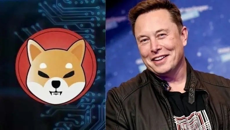 Elon Muskut blen qen të racës Shiba Inu, i rritet vlera e kriptovalutës me të njëjtin emër