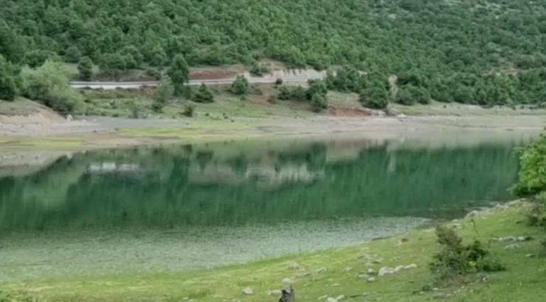 Detaje të reja nga vrasja e 25-vjeçarit, i cili u gjet i mbytur në rezervuar