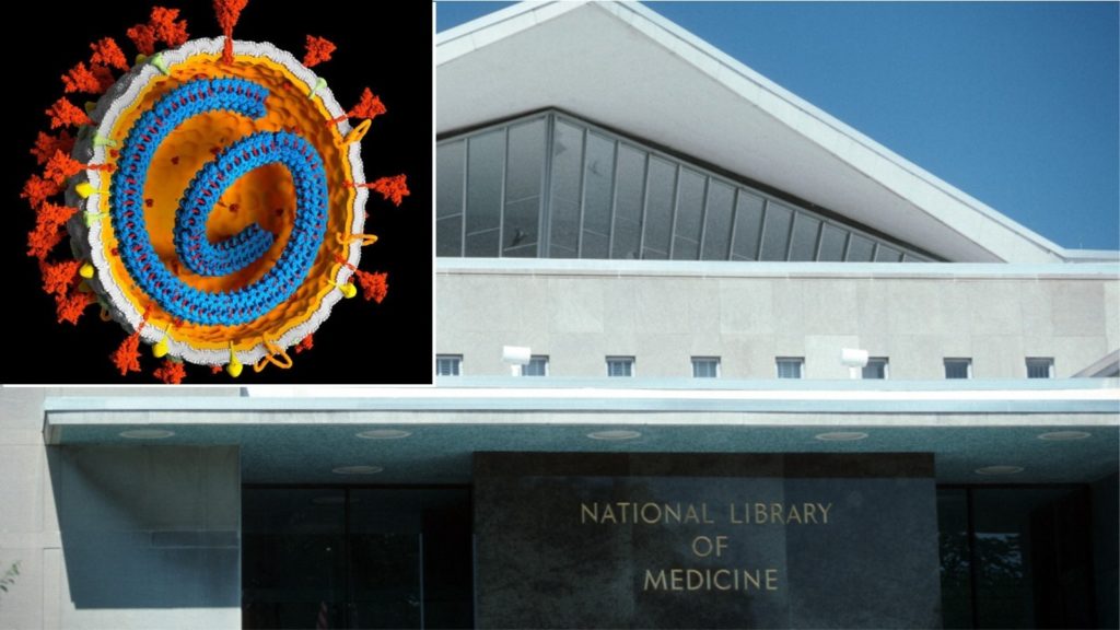 Gjendet një sekuencë e COVID-19 që ishte “fshirë” nga baza e të dhënave