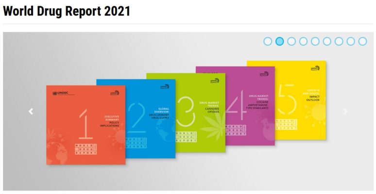 Raporti i OKB për drogat 2021: Shqipëria e para në Europë për kanabisin, ia kalon Spanjës e Holandës