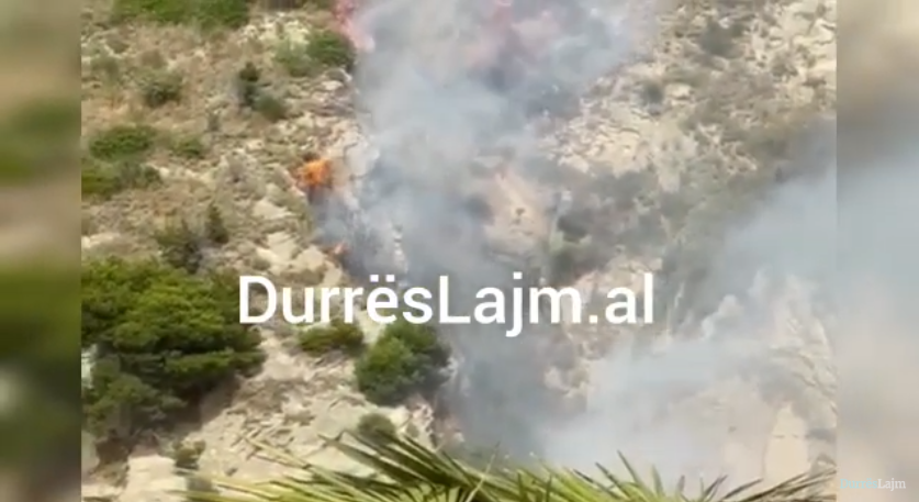 Fiket zjarri në Shkëmbin e Kavajës, 3 mjete zjarrfikëse neutralizuan flakët (VIDEO)