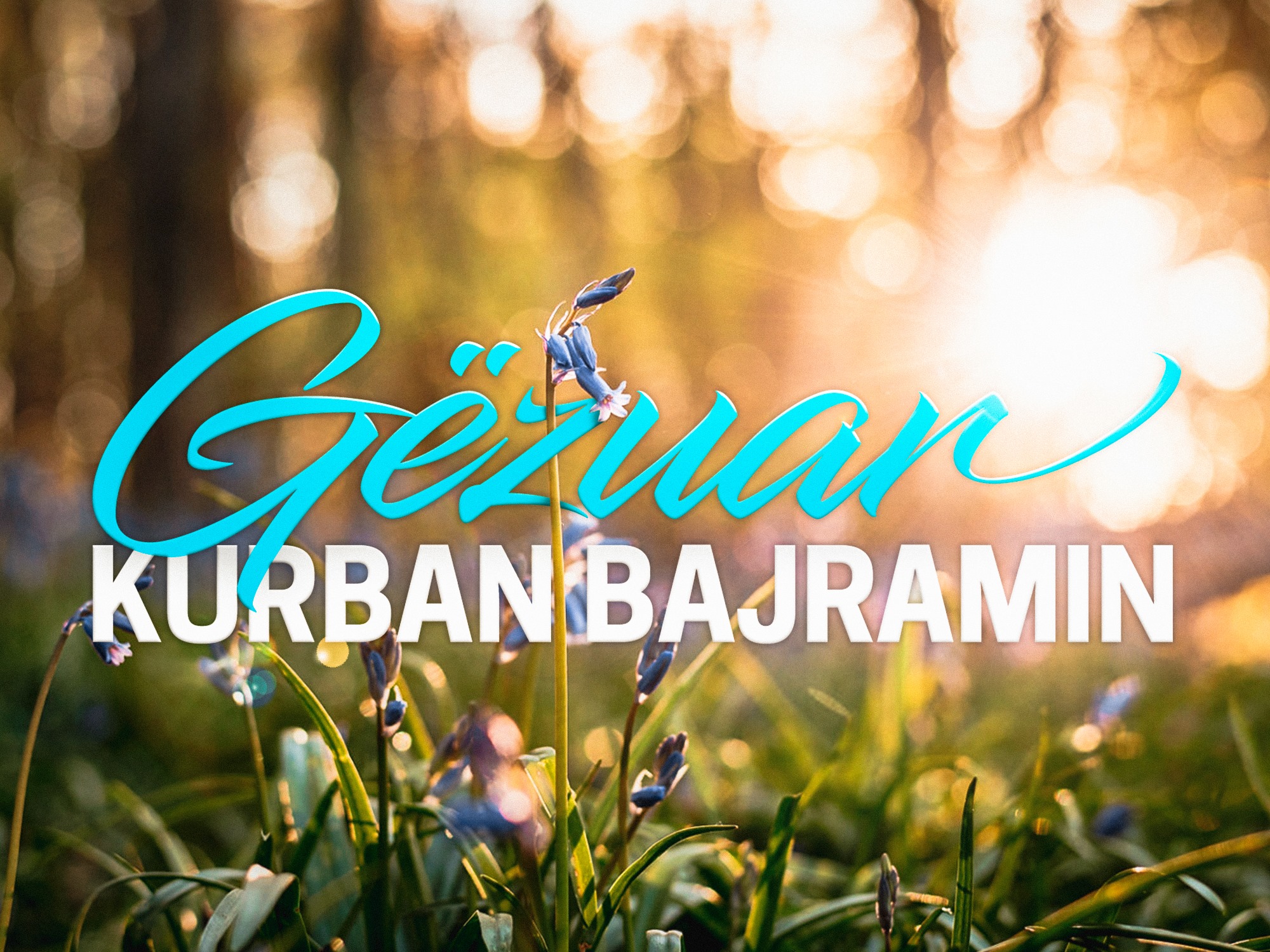 Festa e Kurban Bajramit, Basha uron besimtarët myslimanë: Mbizotëroftë në familjet tuaja gëzimi, paqja dhe shpresa