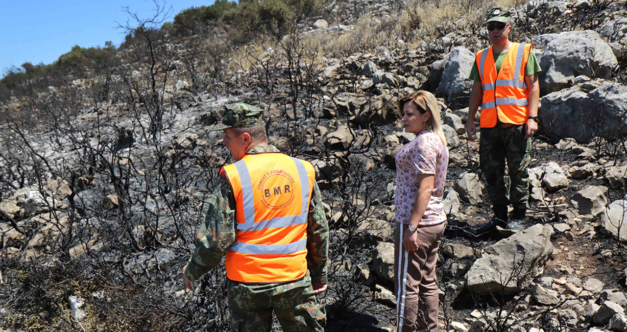 Situata e zjarreve në vend, zv.ministrja e Mbrojtjes: Para përgjegjësisë penale të gjithë ata që dëmtojnë natyrën