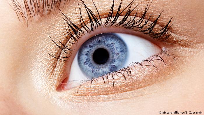 Madhësia e pupilave tregon shkallën e inteligjencës