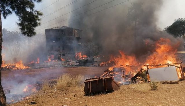 Turqia nën pushtetin e flakëve, ndërrojnë jetë 4 persona