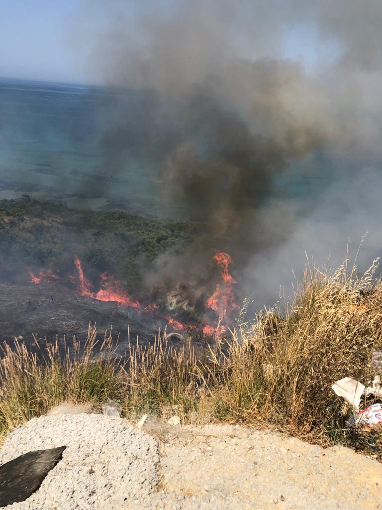 Zjarr në Durrës, përfshihet nga flakët një sipërfaqe me shkurre