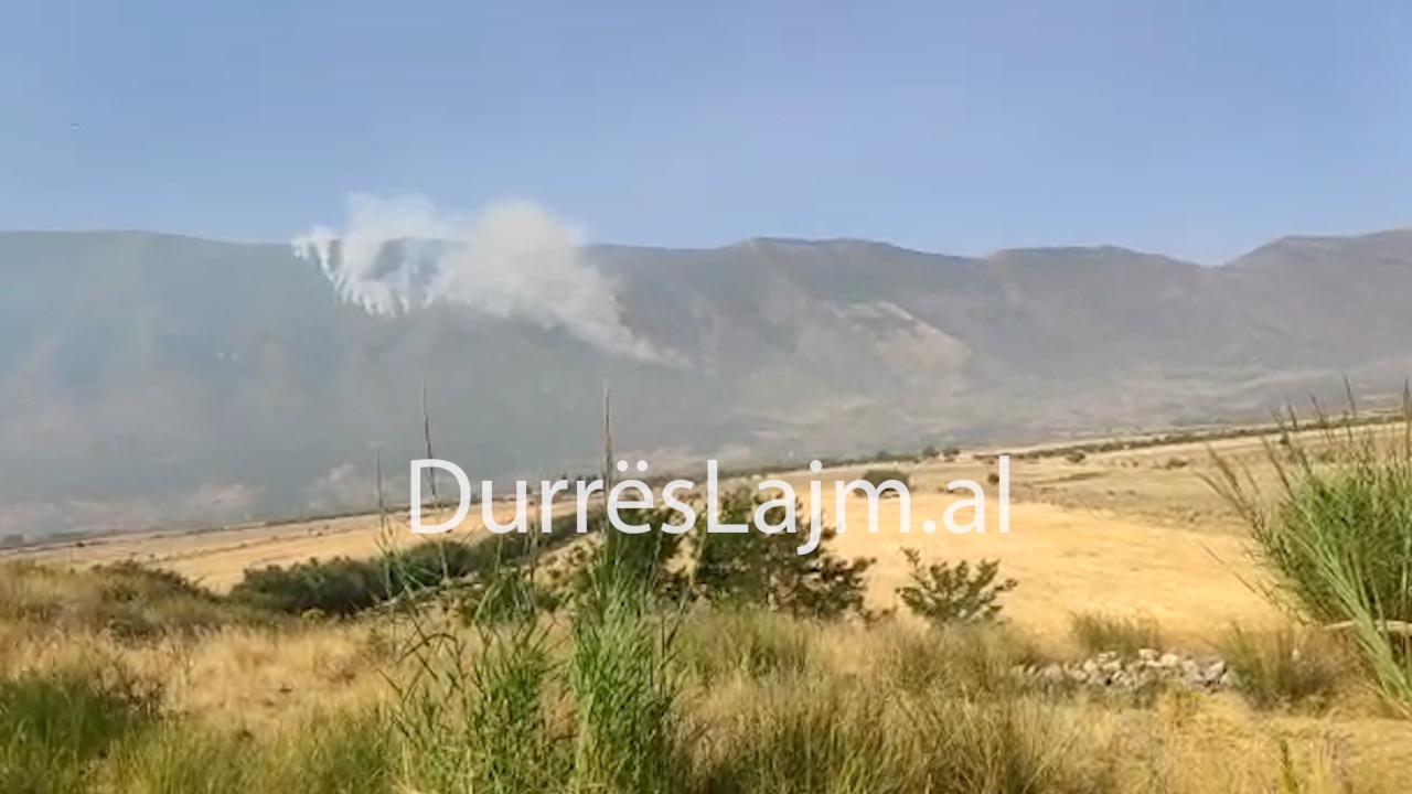 Karaburuni në flakë, terreni vështirëson ndërhyrjen (VIDEO)