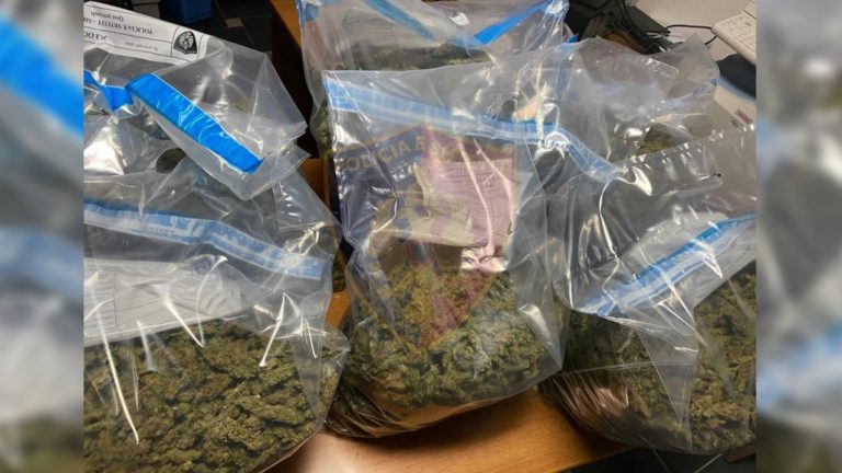 Udhëtonin me 20 kg kanabis në makinë, pranga dy të rinjve (EMRAT)