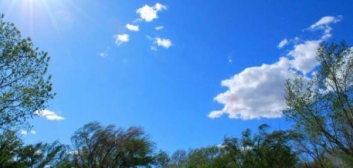 Parashikimi i motit, 2 korrik 2021